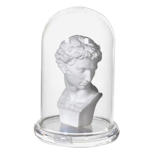 Bust in Glass Cloche