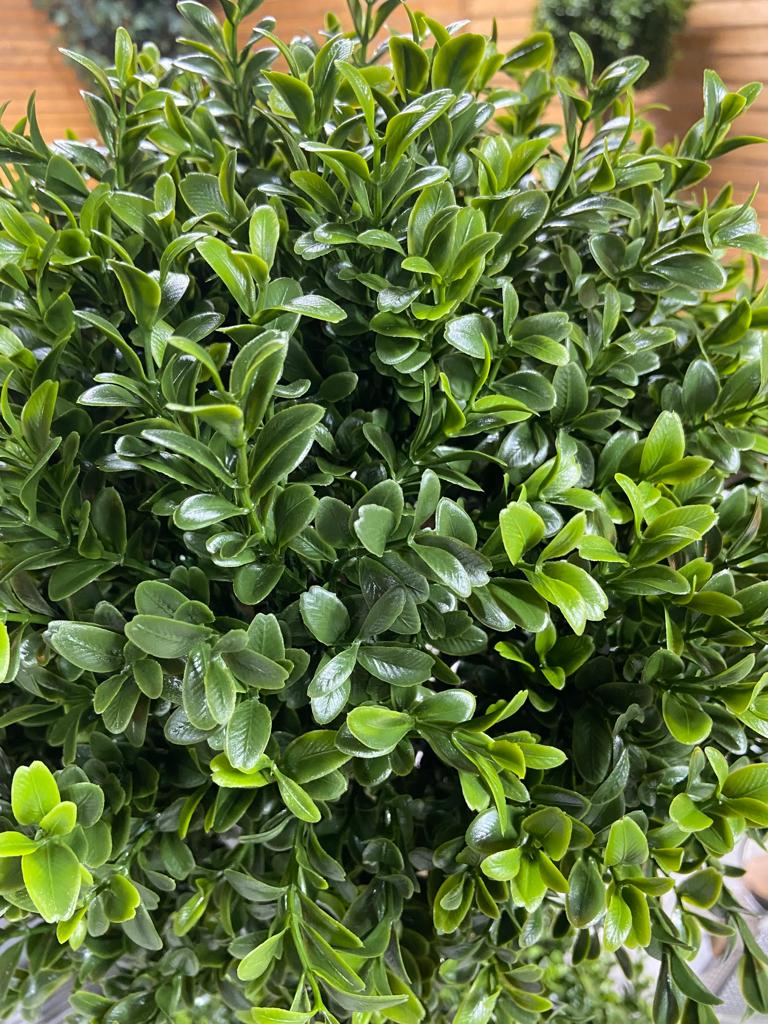 140cm BOXWOOD DOUBLE BALL TREE