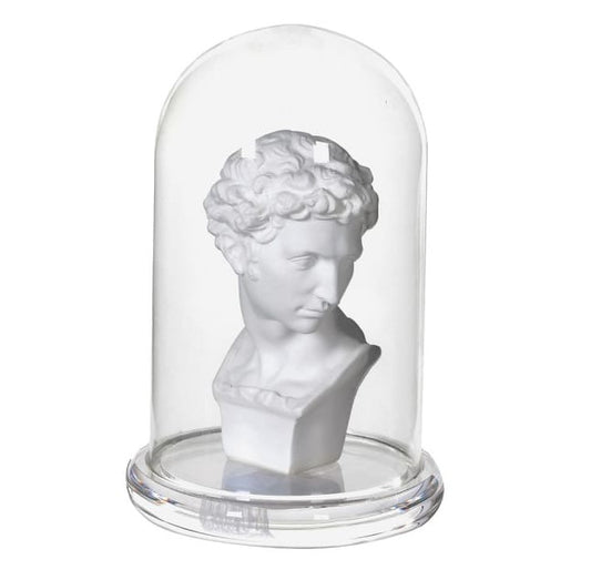 Bust in Glass Cloche