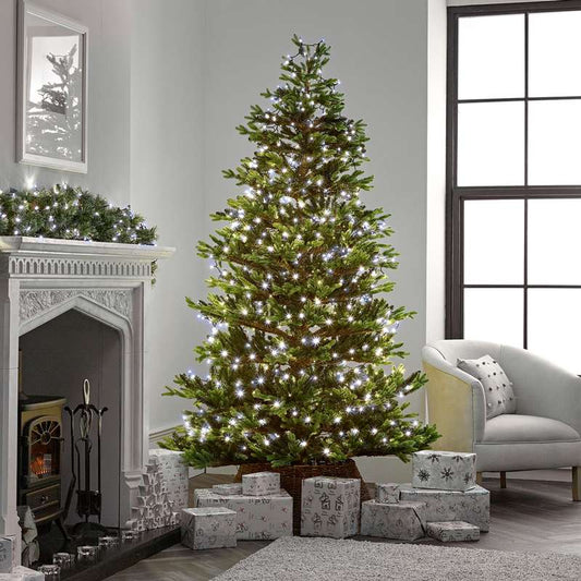 String Lights with 800 LEDs - Cool White