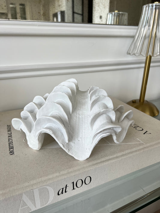 22.5cm White Shell Decoration
