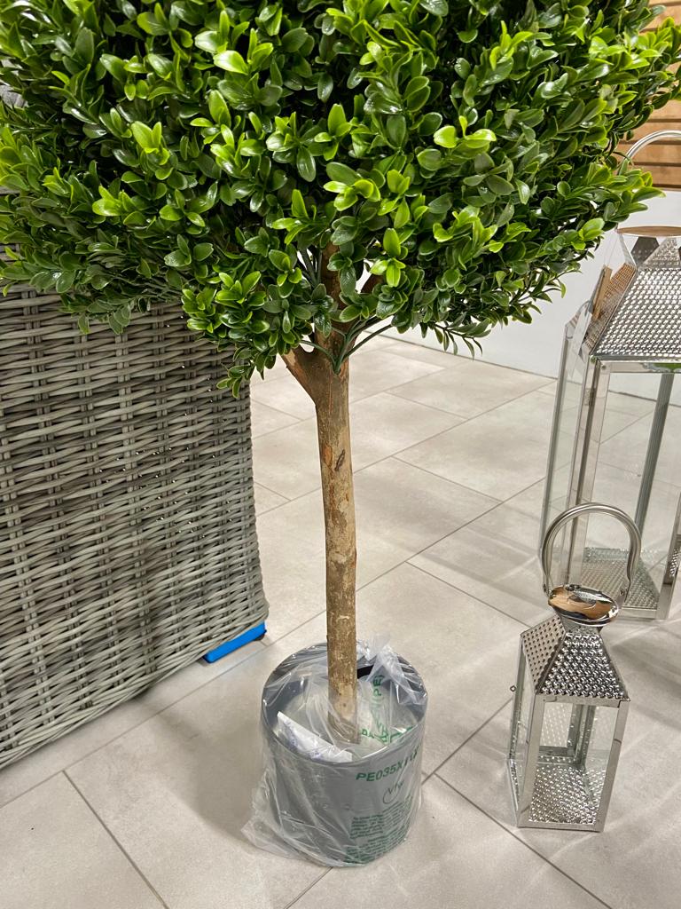 140cm BOXWOOD DOUBLE BALL TREE