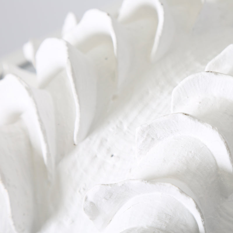 22.5cm White Shell Decoration