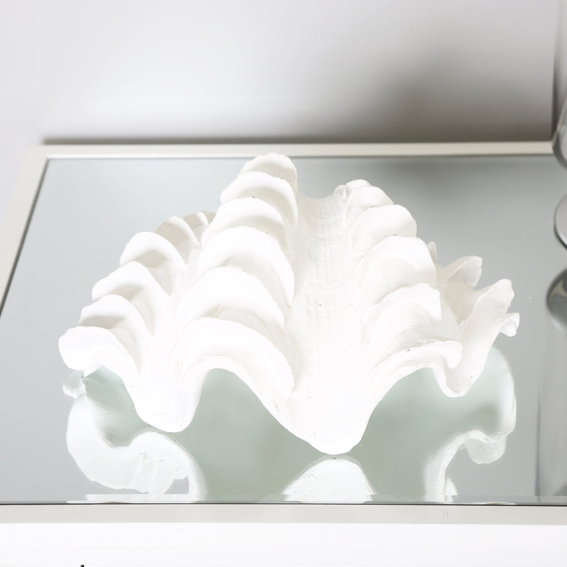 22.5cm White Shell Decoration