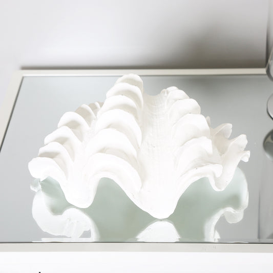 22.5cm White Shell Decoration