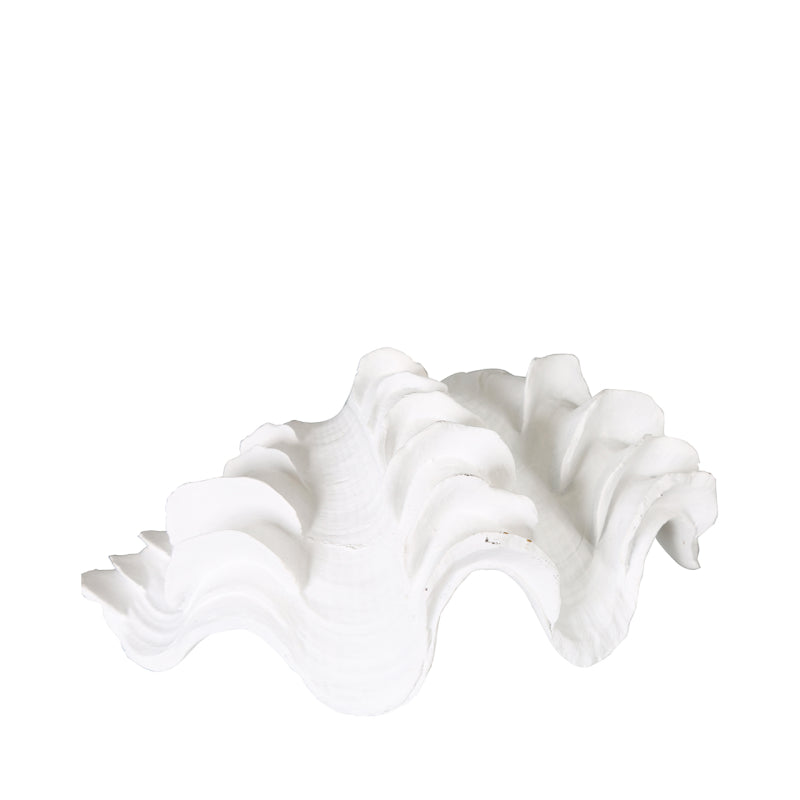 22.5cm White Shell Decoration